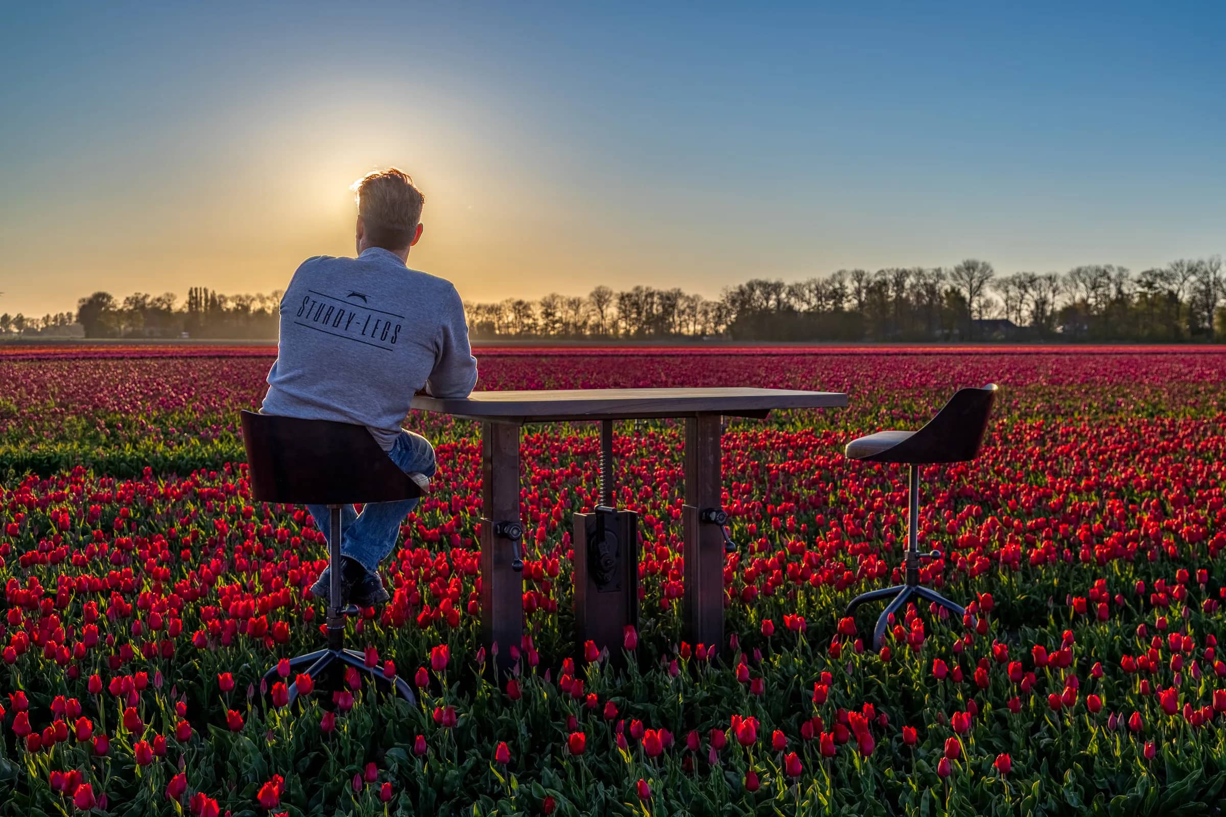 Man sitting at an industrial table with a chair in a field of red tulips at sunrise